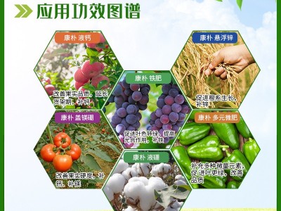 康朴液钙康朴盖美膨康朴铁肥液硼悬浮锌多元微肥中微量元素叶面肥图2
