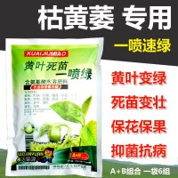 一喷绿微量元素水溶肥黄叶小叶卷叶保花保果果树蔬菜通用叶面肥