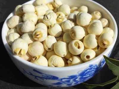 低温烘焙 白莲子 莲子 磨粉莲子 莲子烘焙豆浆原料图5