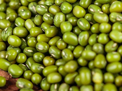 五谷杂粮当季绿豆批发 绿豆汤煮粥磨粉原料 大粒袋装绿小豆笨绿豆图4