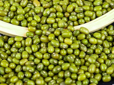 五谷杂粮当季绿豆批发 绿豆汤煮粥磨粉原料 大粒袋装绿小豆笨绿豆图3