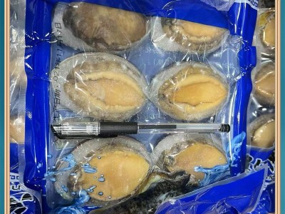 【鲍鱼】厂家批发新鲜现捞冷冻大鲍鱼水产海捕野生去内脏海鲜鲍鱼图4