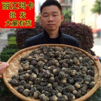 云南丽江黑玛卡黄玛卡干果干片 玛卡批发 玛咖 男人泡酒料