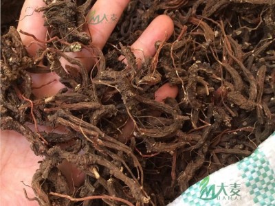 云南文山丘北也生紫丹参可磨丹参粉 切丹参片 丹参茶500克图4