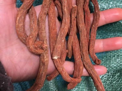 云南文山丘北也生紫丹参可磨丹参粉 切丹参片 丹参茶500克图5