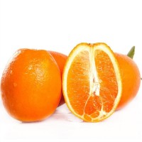 精品纽荷尔脐橙 原产地现摘现发橙子 水果 缺斤少两包赔