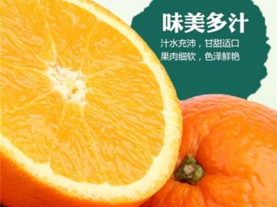 精品纽荷尔脐橙 现发当季水果基地 现采现发 澄红柑橘图3