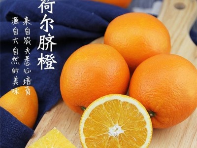 夷陵澄红柑桔 源头发货 蜜橘耙耙柑 香甜新鲜 现摘无核 支持定制图5