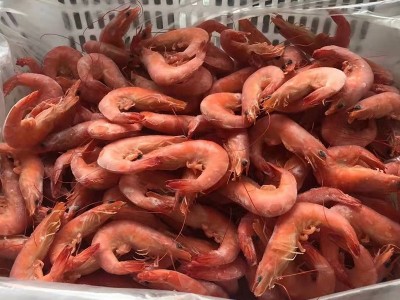 单冻盐田熟虾盐冻白对虾冷冻白虾毛重10斤，净重6.5斤顺丰配送图3