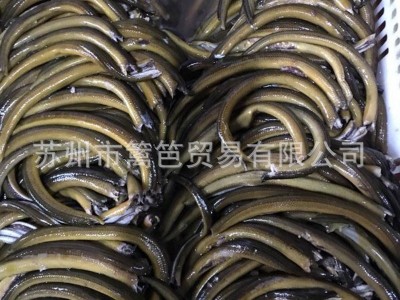 冷冻黄鳝 专供批发市场冷冻水产 餐饮酒店和食品加工水产品图3