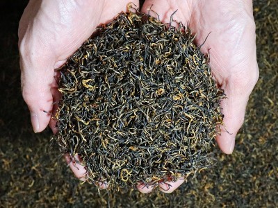 天然峰祁门红茶2023新茶祁红毛峰春茶特级浓香型明前茶叶批发500g图3