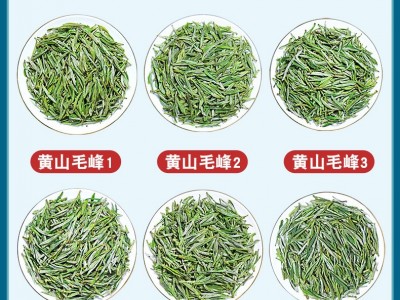 天然峰黄山毛峰茶2023新茶安徽散装毛尖茶特级明前茶叶绿茶批发图2