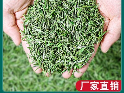 天然峰 黄山毛峰茶2023新茶安徽散装毛尖茶特级500g茶叶绿茶批发图1