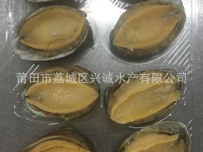 厂家供应 冰冻鲍鱼 即食鲍鱼 去内脏熟冻鲍鱼3-12头 酒席专用酒楼图2