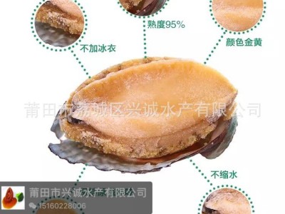 厂家供应 冰冻鲍鱼 即食鲍鱼 去内脏熟冻鲍鱼3-12头 酒席专用酒楼图5