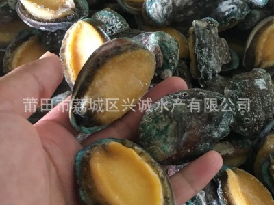 厂家供应 冰冻鲍鱼 即食鲍鱼 去内脏熟冻鲍鱼3-12头 酒席专用酒楼图3