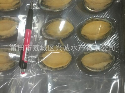 厂家供应 冰冻鲍鱼 即食鲍鱼 去内脏熟冻鲍鱼3-12头 酒席专用酒楼图4