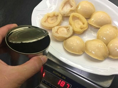 厂家直销专业供应鲍鱼罐头 红烧罐头鲍鱼 按要求清汤口味批发酒楼图2