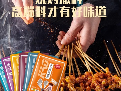 美味佳懒人烧烤调料20g小包空气炸锅露营烧烤烤肉蘸料炸串刷撒料图1