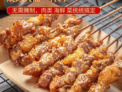 美味佳懒人烧烤调料20g小包空气炸锅露营烧烤烤肉蘸料炸串刷撒料图2