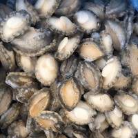 鲍鱼肉批发去壳处理冷冻鲍鱼粒东山岛海鲜产地直发可一件代发