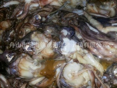 鱿鱼中头 冷冻秘鲁鱿鱼头 冷冻鱿鱼系列产品 可出口 厂家批发图3