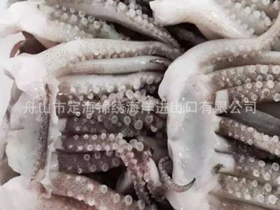 鱿鱼中头 冷冻秘鲁鱿鱼头 冷冻鱿鱼系列产品 可出口 厂家批发图4