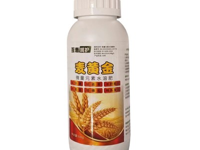 互惠呵护麦黄金 微量元素水溶肥 麦株生长健壮 叶片浓绿 根系发达图5