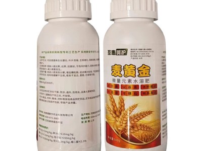 互惠呵护麦黄金 微量元素水溶肥 麦株生长健壮 叶片浓绿 根系发达图4