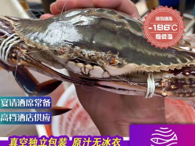 舟山鲜活冻螃蟹月岙流网蟹梭子蟹套袋扎蟹大白蟹公蟹母蟹海鲜批发图1