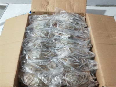 舟山鲜活冻螃蟹月岙流网蟹梭子蟹套袋扎蟹大白蟹公蟹母蟹海鲜批发图3