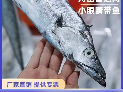 舟山东海雷达网带鱼眼睛新鲜液氮冷冻野生刀鱼油带鱼包装整箱批发图1