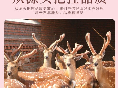 厂家批发250g瓶装吉林双阳鹿场梅花鹿半斤女性滋补罐装鹿胎粉图3