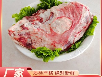 生产供应 羔羊全排羊排 生鲜羊肉 肉排 年货送礼 新鲜配送图3