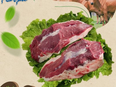 鑫海 牛腿肉 牛肉 鲜肉 每日屠宰 牛腩 量大送货上门图2