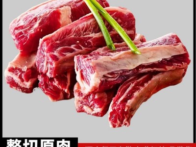 巴西短牛肋条2015厂原切肋条肉商用烧烤炖肉食材去骨牛肉冷冻批发图2