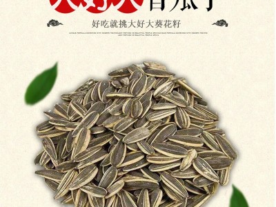 大好大瓜子仁葵花籽100克 原味奶油有壳坚大颗粒休闲怀旧零食批发图3