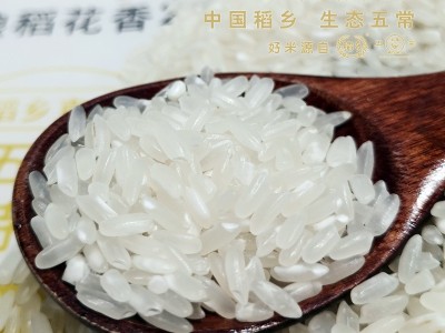 稻乡五常大米 五常稻花香2号 规格500g 1斤装 随手礼 大米批发图4
