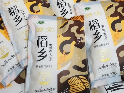 稻乡五常大米 五常稻花香2号 规格500g 1斤装 随手礼 大米批发图2