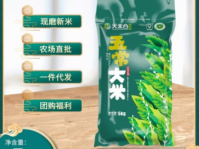 五常大米批发 2022家新米10斤长粒稻花香米大米5kg 东北大米图2