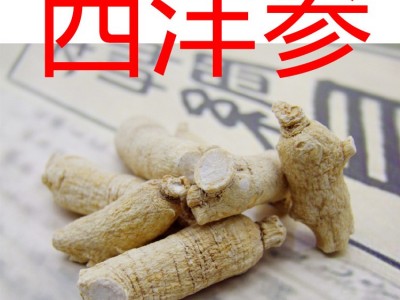 供应东北西洋参段100头 批发花旗参产地正品国产小粒头滋补参图4