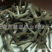 长春市慧源鹿业批发整枝马鹿茸 二杠茸 三岔茸 投料茸 手续全