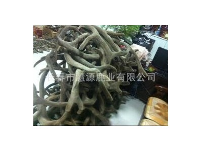长春市慧源鹿业批发整枝马鹿茸 二杠茸 三岔茸 投料茸 手续全图2