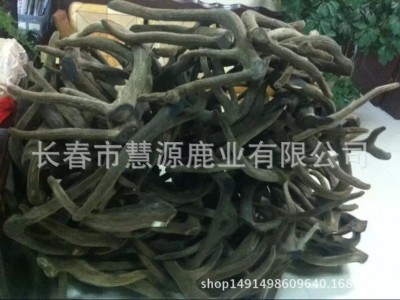 长春市慧源鹿业批发整枝马鹿茸 二杠茸 三岔茸 投料茸 手续全图4