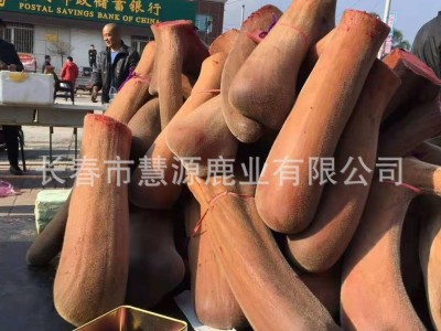 长春市慧源鹿业批发梅花鹿茸 鹿茸片 鹿茸粉 加工定制 手续齐全图2
