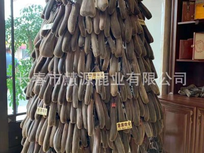 长春市慧源鹿业批发梅花鹿茸 鹿茸片 鹿茸粉 加工定制 手续齐全图3