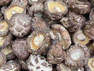 福建古田家食用菌花 散装500g特选小香菇椴木蘑菇干花菇源头厂家图3