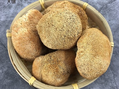 天锦山水袋有机猴头菇150g东北猴头菇大兴安岭菌菇干货厂家批发图4