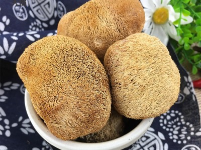 天锦山水袋有机猴头菇150g东北猴头菇大兴安岭菌菇干货厂家批发图2