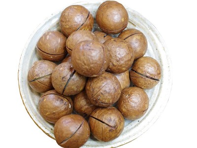 澳洲坚果夏威夷果250g办公室休闲零食坚果厂家直供批发送开口器图5